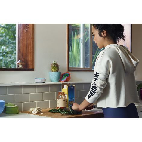 Amazon Echo Dot with Clock on kitchen counter.jpg